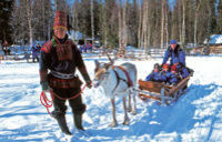 Snowmobile Safari: Reindeer Farm and  Sleigh Ride