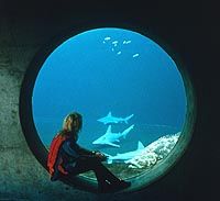 The Florida Aquarium in Tampa Bay