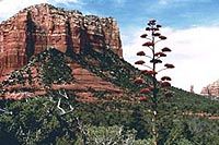 Grand Canyon via Sedona and Navajo Reservation