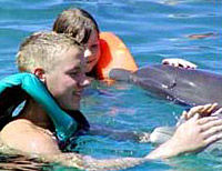 Swim with Dolphins Program in Ocho Rios