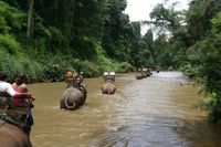 Chiang Dao Elephant Jungle Trek and Ping River Rafting Tour from Chiang Mai