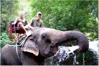 Excursión al Parque Nacional de Khao Yai y paseo en elefante desde Bangkok