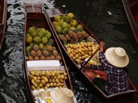 Floating Markets of Damnoen Saduak Cruise Day Trip from Bangkok