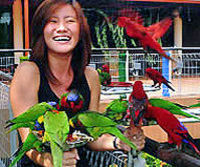 Singapore Jurong Bird Park Tour