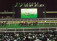 Singapore Turf Club Horse Racing Tour, Singapore Sporting Events ...