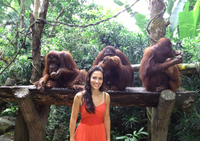 Zoo de Singapur y desayuno con orangutanes