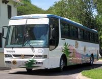 Punta Cana Airport Shared Roundtrip Transfers