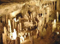 Natural Wonders of Barbados Tour including Harrison's Cave