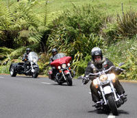 Auckland City Harley Davidson Tour