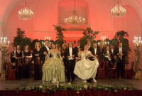 Velada en el Palacio de Schonbrunn: visita al palacio, cena y concierto
