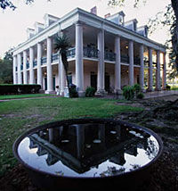 Swamp and Bayou Sightseeing plus Oak Alley Plantation Combo Tour