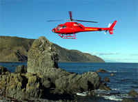 South Coaster Helicopter Flight from Wellington