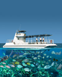 Grand Cayman Glass Bottom Boat Tour - Shipwreck and Fish Feeding Show