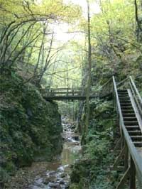 Guided Nature Walk to Johannesbach Gorge and Schrattenbach Ruins