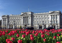 The Royal London Tour including Buckingham Palace