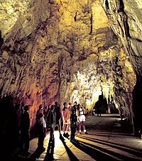 Auckland to Rotorua via Waitomo Glowworm Caves One-Way Tour