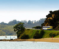 Bay of Islands (Paihia) to Auckland One-Way Tour