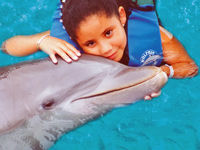 Cancun Dolphin Encounter Program