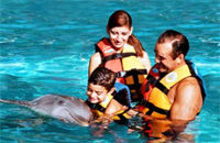 Riviera Maya Dolphin Encounter Program