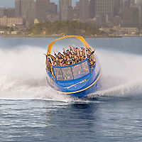 Sydney Harbour Jet Boat Ride Adventure: 50 Minutes