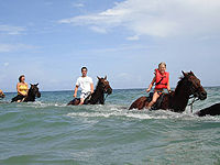 Heritage Beach Horse Ride