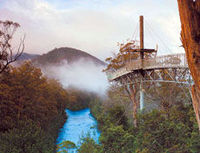 Huon Valley and Tahune Forest Airwalk Tour from Hobart
