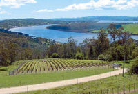 Launceston Afternoon Highlights Tour including Wine Tasting