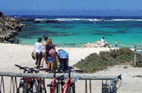 Rottnest Island Day Trip from Perth