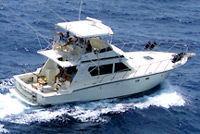 Deep Sea Fishing Private Boat Charter in San Juan