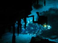 Cancun 2-Tank Cenote (Cave) Dive