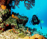 Cancun 2-Tank Reef or Wreck Dive