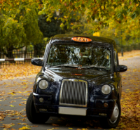 Private Tour: Customized Black Cab Tour of London