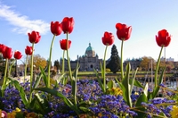 2-Day Victoria Tour from Vancouver including Butchart Gardens