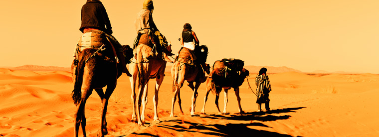 In the Spotlight: Sahara Desert