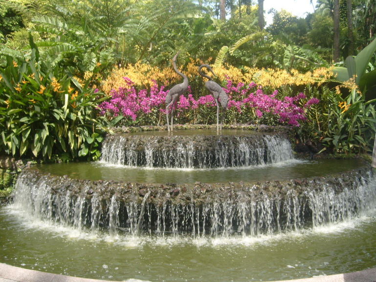 Photo of Singapore Singapore City Tour with optional Singapore Flyer Botanical garden in Singapore