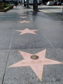 Star Walk Fame on 15 Photos   Hollywood Walk Of Fame   Viator