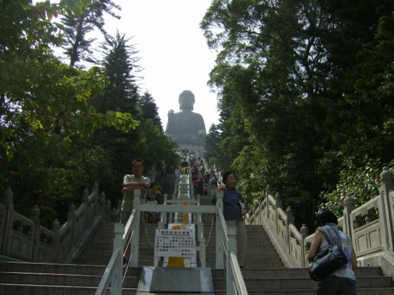 Click to see more reviews of Lantau Island from Viator!