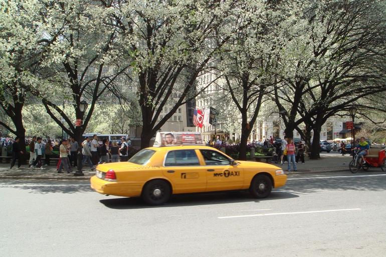 Yellow Cab New York City