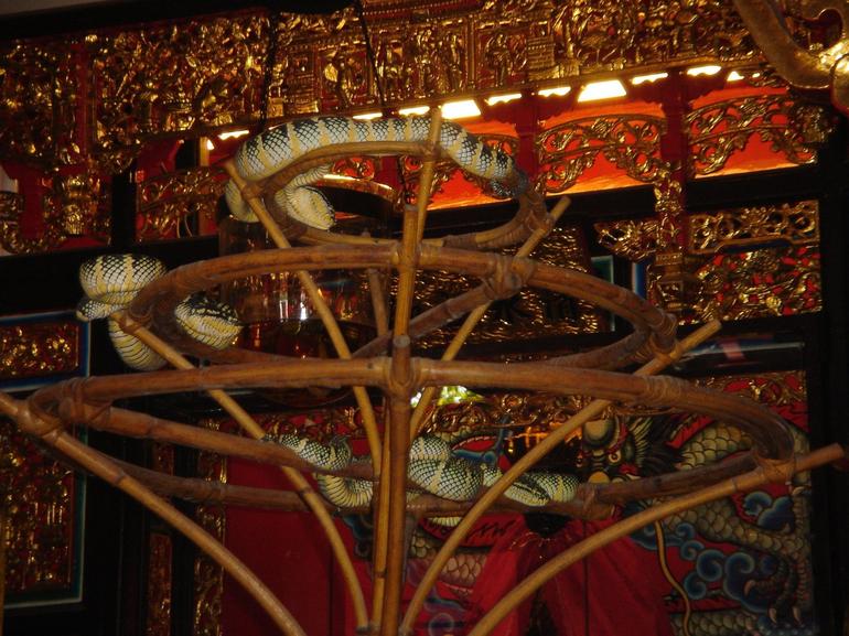 THE SNAKE TEMPLE in Penang, Malaysia. - Dhamma Wheel Buddhist Forum