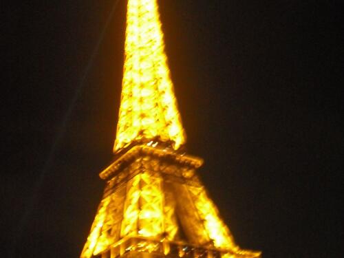 Eiffel Tower Seine Night Pictures on Eiffelturm  Show Im Moulin Rouge Und Bootsfahrt Auf Der Seine
