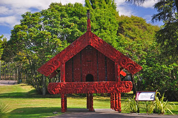 Maori Arts and Crafts Institute (Te Puia), Rotorua