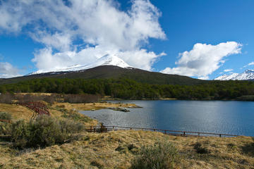Tierra del Fuego National Park, Ushuaia