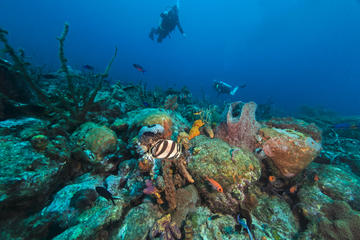 Cades Reef 