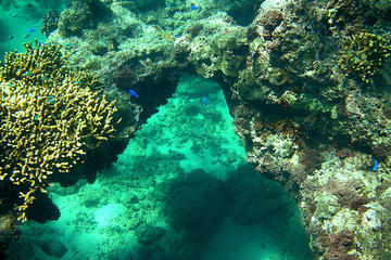 Coral Coast, Fiji