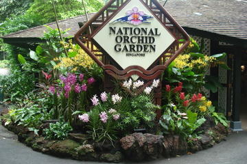Singapore Botanical Garden & National Orchid Garden