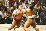 Tokyo Sumo Wrestling Tournament