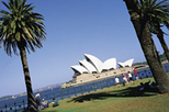 Sydney: Bondi Beach and Kings Cross Tour plus Sydney Harbour Lunch Cruise, Sydney, Bus & Minivan ... 