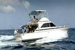 Save 22%: Deep Sea Fishing from St Lucia by Viator