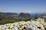 Madeira Sightseeing Tours