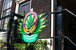Amsterdam Cannabis Walking Tour, Amsterdam, Walking Tours